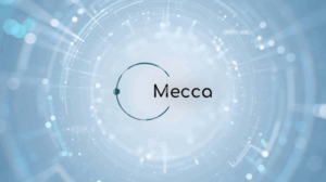 ANALYTICS MECCA