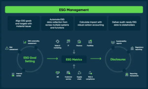 Sustainability as a Business Advantage