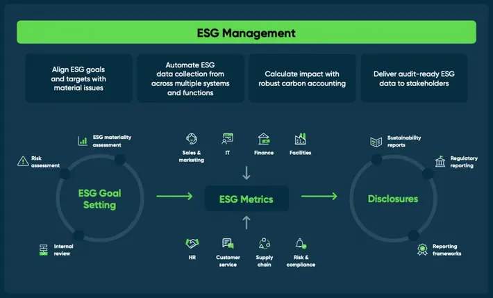 Sustainability as a Business Advantage