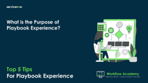 What Is Playbook Experience, Really