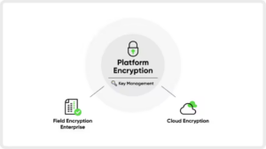 ServiceNow Vault